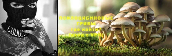 гашик Балабаново