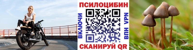 дарнет шоп  Нерюнгри  Галлюциногенные грибы ЛСД 